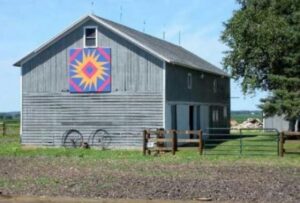 "Wild Zinnia" Beestra Farm 10011 US 14, Harvard,IL 60033