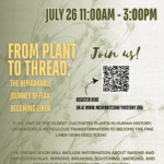 From Plant to Thread: The Remarkable Journey of Flax Becoming Linen