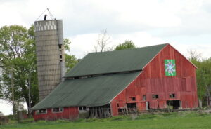 "Circling Swallows" 3915 Pagles Road, Harvard, IL 60033