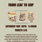 From Leaf to Cup: Exploring Tea